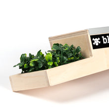 Load image into Gallery viewer, Box 4 - Blackriver Fingerboard Ramps
