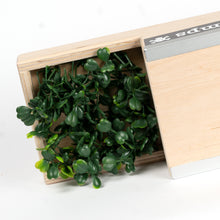 Load image into Gallery viewer, Box 4 - Blackriver Fingerboard Ramps
